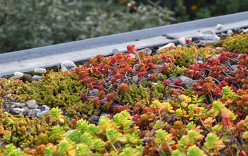 the cost of Bridgend Of Lintrathen green roof installation