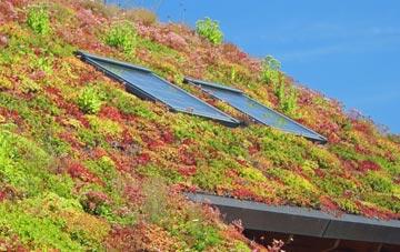Bridgend Of Lintrathen living roof systems