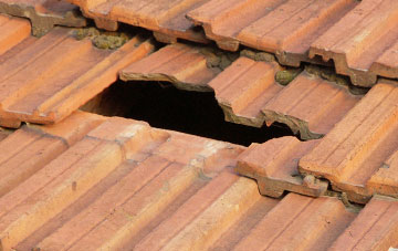 roof repair Bridgend Of Lintrathen, Angus