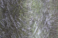 Bridgend Of Lintrathen fibreglass roof work