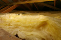 Bridgend Of Lintrathen pitch roof insulation